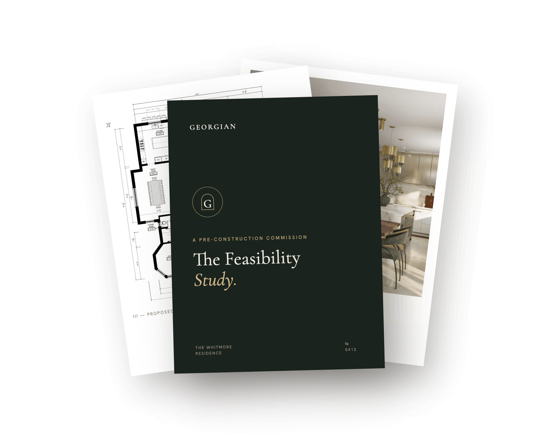 The Feasibility Study documents